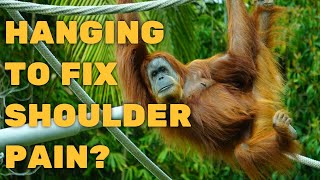 Will Hanging Like An Ape Help Your Awful Shoulder Pain? 25 True Believers