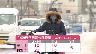 山沿い中心に雪　２２日朝までに最大２０センチ　海上はしけ【新潟県】 (23/01/21 12:36)