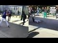 Knife-wielding teen is gunned down by school security