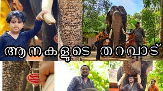 #aanapremikal To Venattumattam, The Home Of Elephants | ആനകളുടെ തറവാടായ വേണാട്ടുമറ്റത്തേയ്ക്ക്