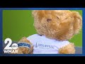 Teddy Bear Clinic