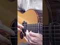 acoustic guitar that can use a capo on the 12th fret