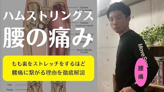 【最新版】ハムストリングスをストレッチすると腰痛になる理由！普段やっているストレッチが腰痛や骨盤の歪みを引き起こす原因になっている可能性を徹底解説！【愛媛県松山市　ピラティス・姿勢・痛み】