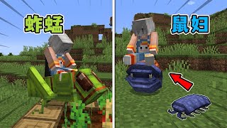 Minecraft: Catch bugs as mounts in the game? Grasshoppers that eat crops and jump super high!