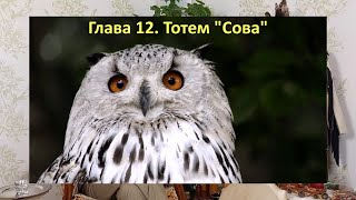 Тотем СОВА🦉. Глава 12А. Хранитель зимнего солнцестояния. Шаман - Сергей Попроцкий.