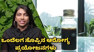 Amazing Benefits Of Brahmi Oil For Health \u0026 Skin | DIY | Vijay Karnataka