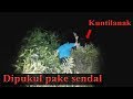 Download Mukul Kunt!Lanak Pakai Sendal In Mp4 3Gp Full HD Video