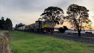 TasRail TR03 TR10 #31 train crossing Arthur Street Perth