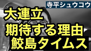 SAMEJIMA TIMESの鮫島浩さんが大連立に期待する理由