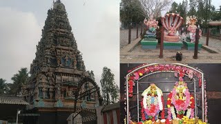 ராகு கேது தோஷம் போக்கும் ஆலயம்// தம்பி கலை அய்யன் கோவில்