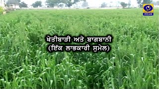 Mera Pind Mere Khet | ਖੇਤੀਬਾੜੀ ਅਤੇ ਬਾਗਬਾਨੀ (ਇੱਕ ਲਾਭਕਾਰੀ ਸੁਮੇਲ)  | 31 February 2022 | DD Punjabi