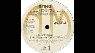 If You Love Somebody Set Them Free (12" Version) - Sting