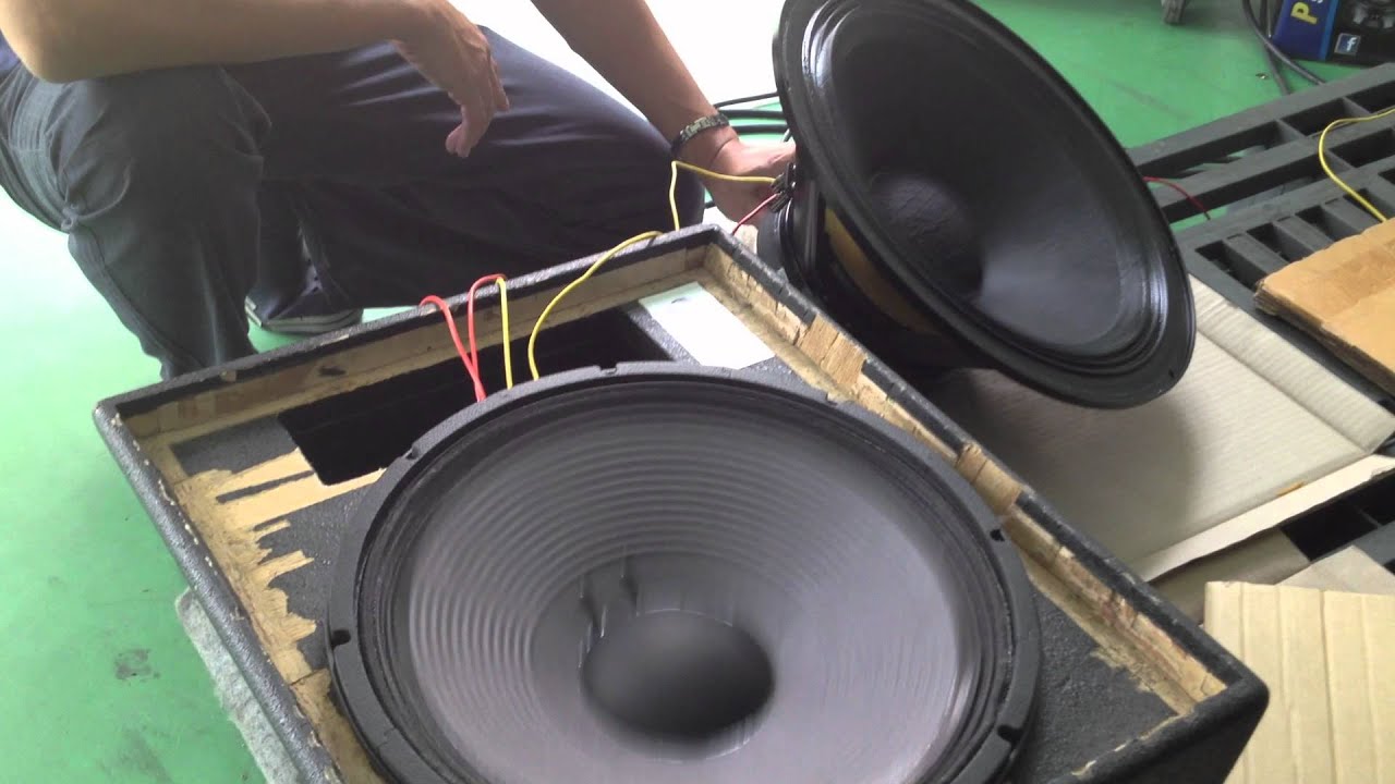 Test Speaker Youtube