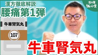 【腰痛漢方②】牛車腎気丸【老化現象・しびれ・足腰強化】