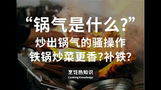 烹饪热知识02期：锅气到底是什么？电磁炉炒出锅气/镬气的骚操作，铁锅炒菜更香？能补铁？what is wok hei？-《Hardcore Cooking Guide extra 02》