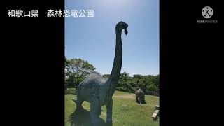 和歌山県　森林恐竜公園　満幸商店Ⅱ 大盛りしらす丼　鯛汁　コース