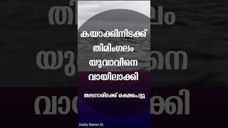 കയാക്കിനിടക്ക് യുവാവിനെ വിഴുങ്ങി തിമിംഗലം, രക്ഷപ്പെട്ടു യുവാവ് #kayak #shark