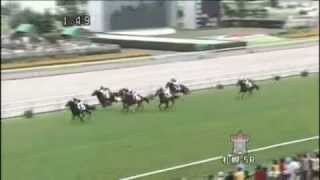 コディーノ メイクデビュー札幌 2012.08.12 札幌芝1800m