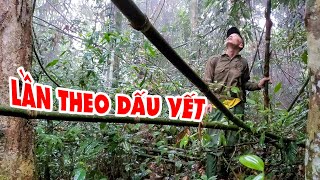 #16 - LẦN THEO DẤU VẾT ONG ĐẤT | Thợ Rừng