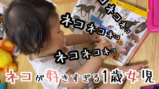 【1歳1ヶ月】はじめて図鑑をうまく使いこなしてると思ったらネコが大好きなことが判明しましたPicture book for the first time