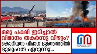 ഒരു പക്ഷി ഇടിച്ചാൽ തീരുന്ന സുരക്ഷ മാത്രമെ വിമാനയാത്രക്കുള്ളു? | South Korea Plane Crash