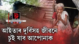 ভগা জুপুৰীত এগৰাকী আইতাৰ জীৱনযুঁজ। খাবলৈ নাই অন্ন, থাকিবলৈ নাই ঘৰ, নাই কোনো আত্মীয়-স্বজন।