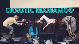 CHAOTIC MAMAMOO