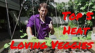 Top 5 Florida Heat Loving Veggies