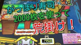 【がっぽり寿司】2000枚で荒掛けをやってみた！リクエスト枠①