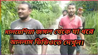 মালয়েশিয়া জঙ্গল থেকে কি ভাবে একটি কবুতার আর একটি মুরগী ধরলাম।