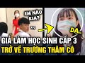 Cô gái 'ĐÓNG GIẢ' nữ sinh cấp 3 về trường cũ 'THĂM CÔ' 20/11 và cái kết RƯNG RƯNG | Tin 3 Phút