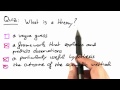 What Is a Theory? Solution - Software Debugging