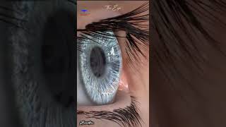 The Human Eye 👁️ Animation || Medical🩺short video 25s || #eyes #shortvideo