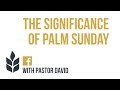 The Significance of Palm Sunday