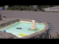 デナリが気になるもの~polar bear