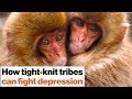 Loneliness kills: How to fight depression with social support | Johann Hari | Big Think