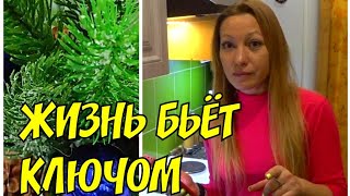 Влог / У Никиты болит поясница  У меня опух палец Хочу елку #ЕленаЩукарева #семья #Караганда