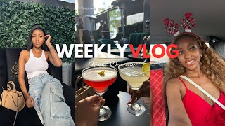 Weekly vlog: Nov \u0026 Dec recap