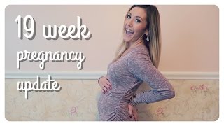 19 week pregnancy update