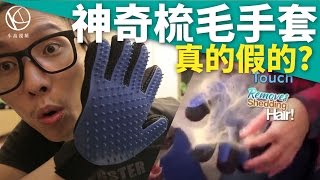 【小高】很無聊#34 - 開箱寵物用品「神奇梳毛手套」，看看有多神！