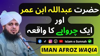 Hazrat Abdullah ibn Umar Aur Ek Charwaha || Iman Afroz Waqia || Ajmal Raza Qadri | Islam o Sunnah