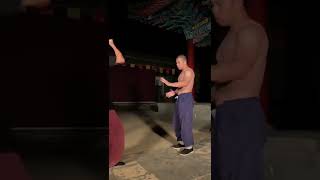 Shaolin Kung Fu Master 铁山靠 #yanhao #shorts #kungfu #wushu #brucelee #jackiechan