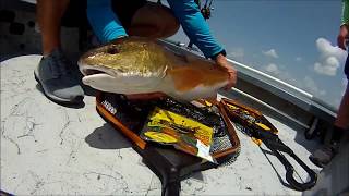 Chris Scheible giving the Trophy Haul Nets a work out on some nice Redfish!