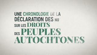 Une chronologie de la Déclaration des NU sur les droits des peuples autochtones