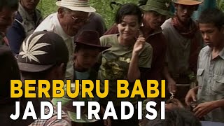 Berburu babi menjadi tradisi masyarakat | JELAJAH