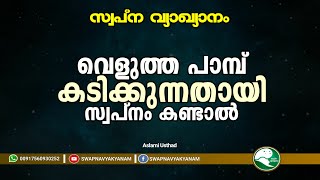 Velutta pambu kadikkunnadai kandal | വെളുത്ത പാമ്പ് കടിക്കൽ | Aslami Usthad | Swapna vyakyanam