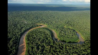 Congo Rain Forest || Congo Rain Forest Facts || Info dis