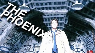 Multifandom | The Phoenix