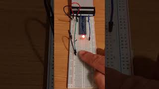 Raspberry Pi Platform Module 4 assignment