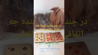 یک کارت را انتخاب کنید در ساعات آینده چه اتفاقی خواهد افتاد؟ 🤔😊🤩